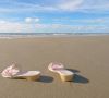 elegant-stylerunner-slides-are-a-must-have